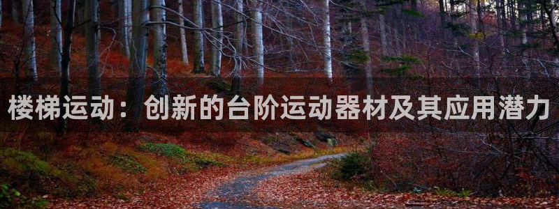 凯捷体育平台注册要钱吗：楼梯运动：创新的台阶运动器材及其应用