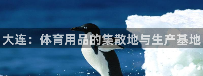 意昂集团官网：大连：体育用品的集散地与生产基地