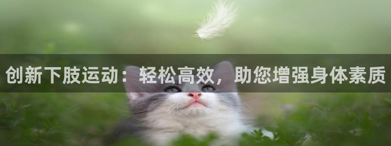 凯捷体育集团官网网址