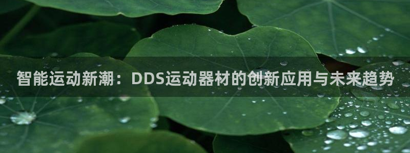 凯捷体育招商电话地址查询：智能运动新潮：DDS运动器材的创新