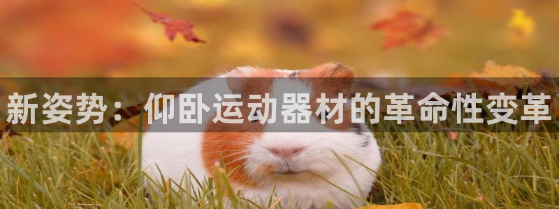 凯捷体育五金厂：新姿势：仰卧运动器材的革命性变革