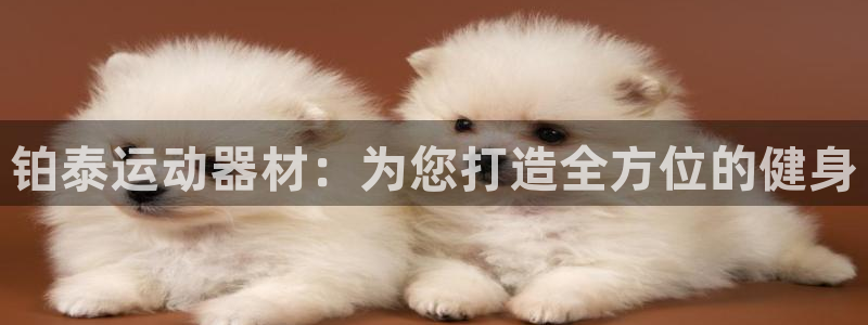 凯捷体育集团官网首页网址：铂泰运动器材：为您打造全方