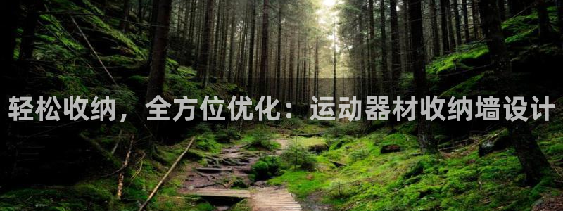凯捷体育平台是正规平台吗：轻松收纳，全方位优化：运动器材收纳