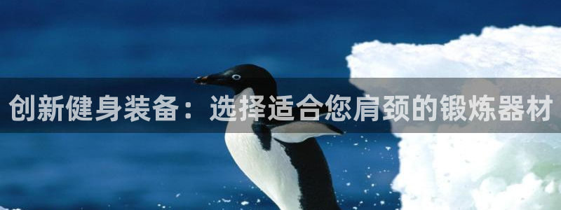 凯捷体育新能源