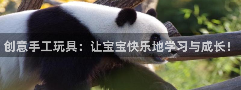 凯捷体育娱乐是那个系列的台子：创意手工玩具：让宝宝快