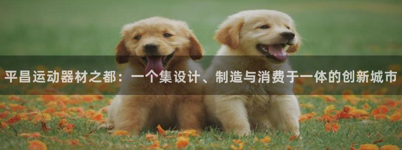凯捷体育集团：平昌运动器材之都：一个集设计、制造与消费于一体