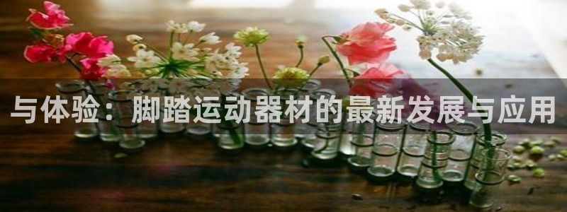 凯捷体育集团官网首页网址:与体验:脚踏运动器材的最新发展与应