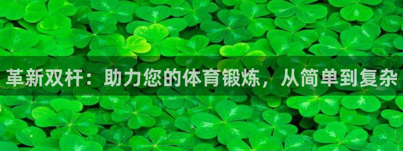 凯捷体育平台注册流程视频：革新双杆：助力您的体育锻炼