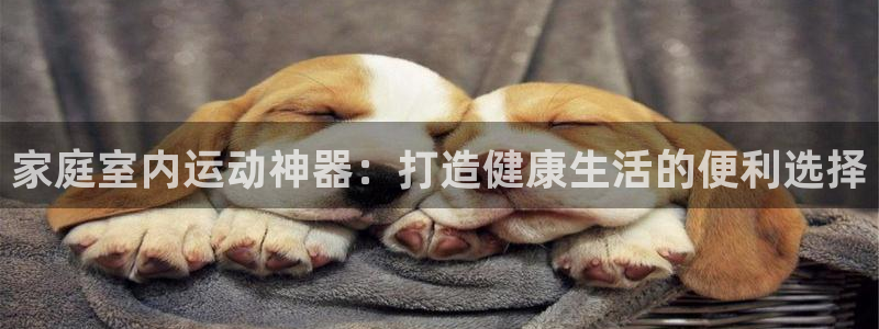 凯捷体育娱乐40996