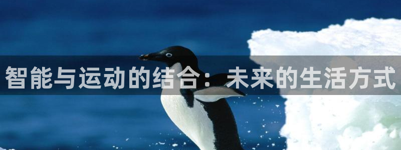 凯捷体育集团官网首页:智能与运动的结合:未来的生活方式
