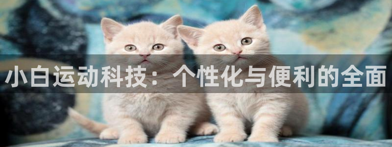 凯捷体育平台注册:小白运动科技:个性化与便利的全面