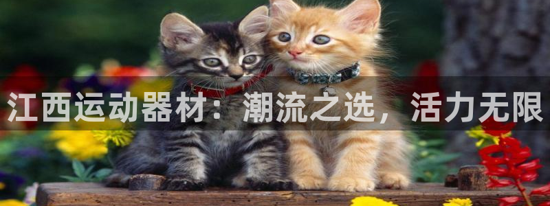 凯捷体育娱乐代理怎么样：江西运动器材：潮流之选，活力无限